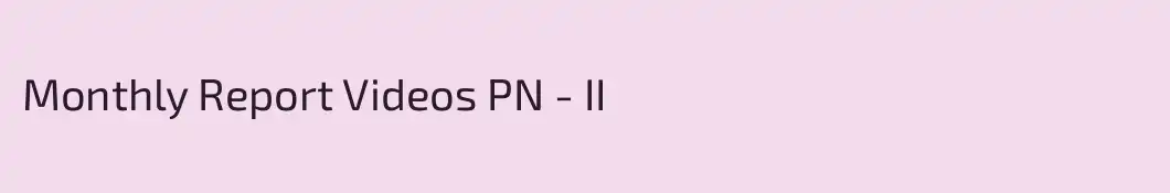 Monthly Report Videos PN - II